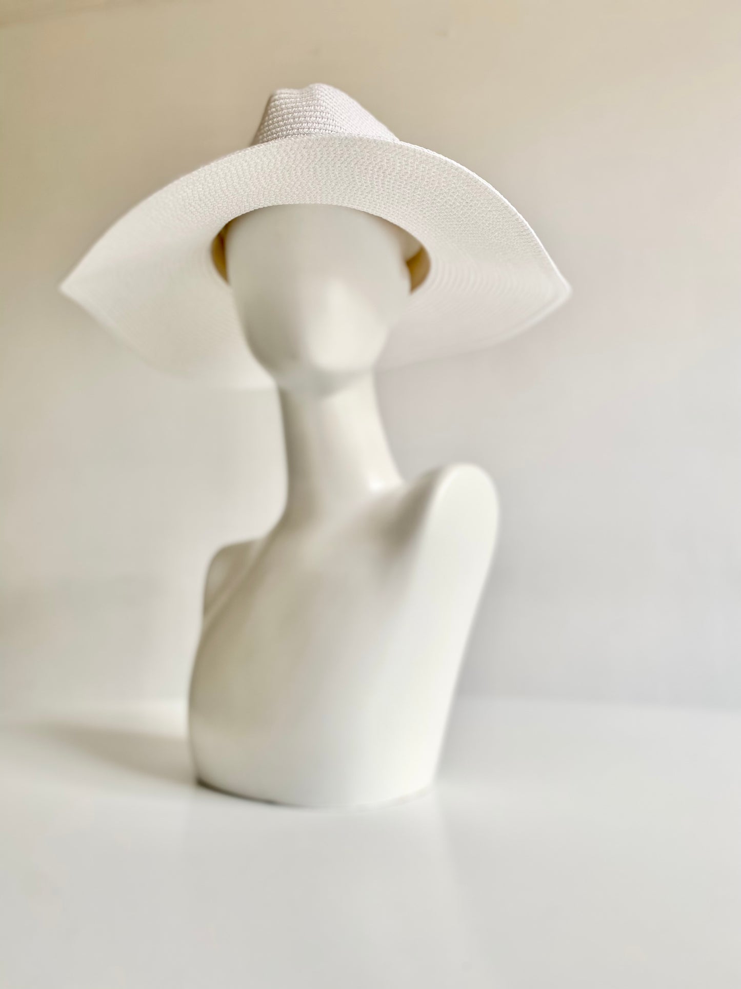 Summer Basics Wide Brim Fedora – White