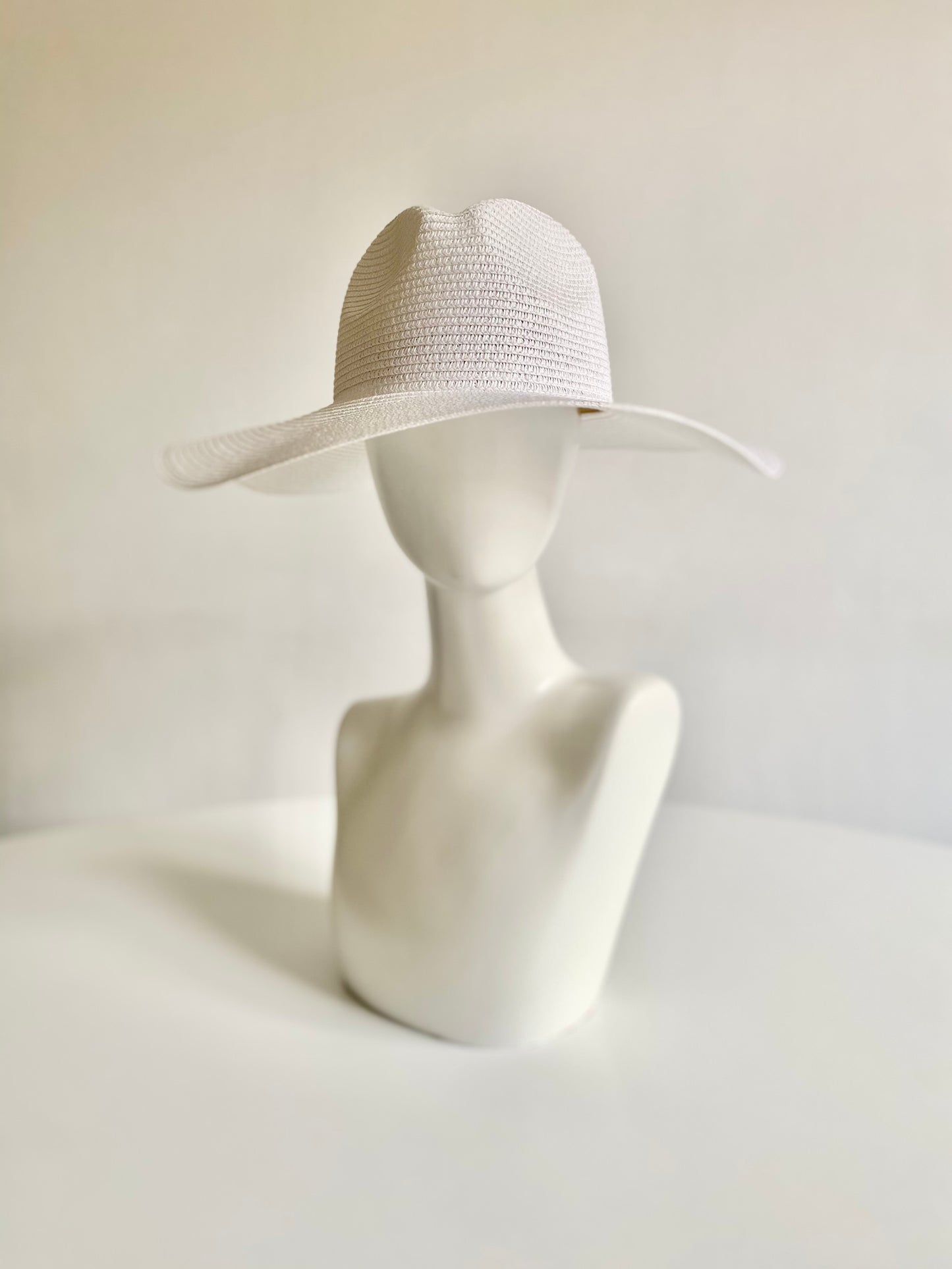 Summer Basics Wide Brim Fedora – White